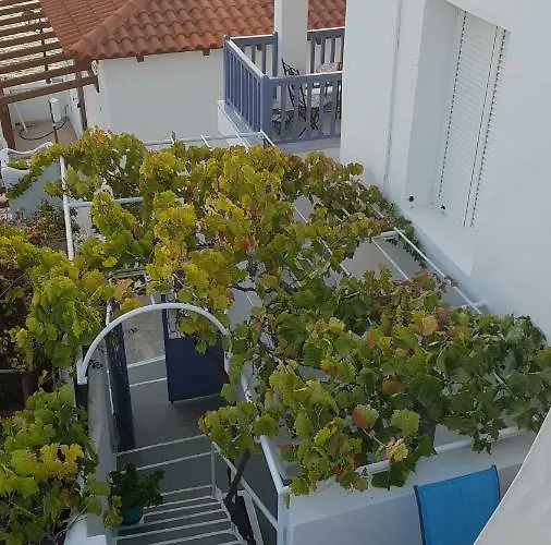 Blue Island Batsi (Andros)